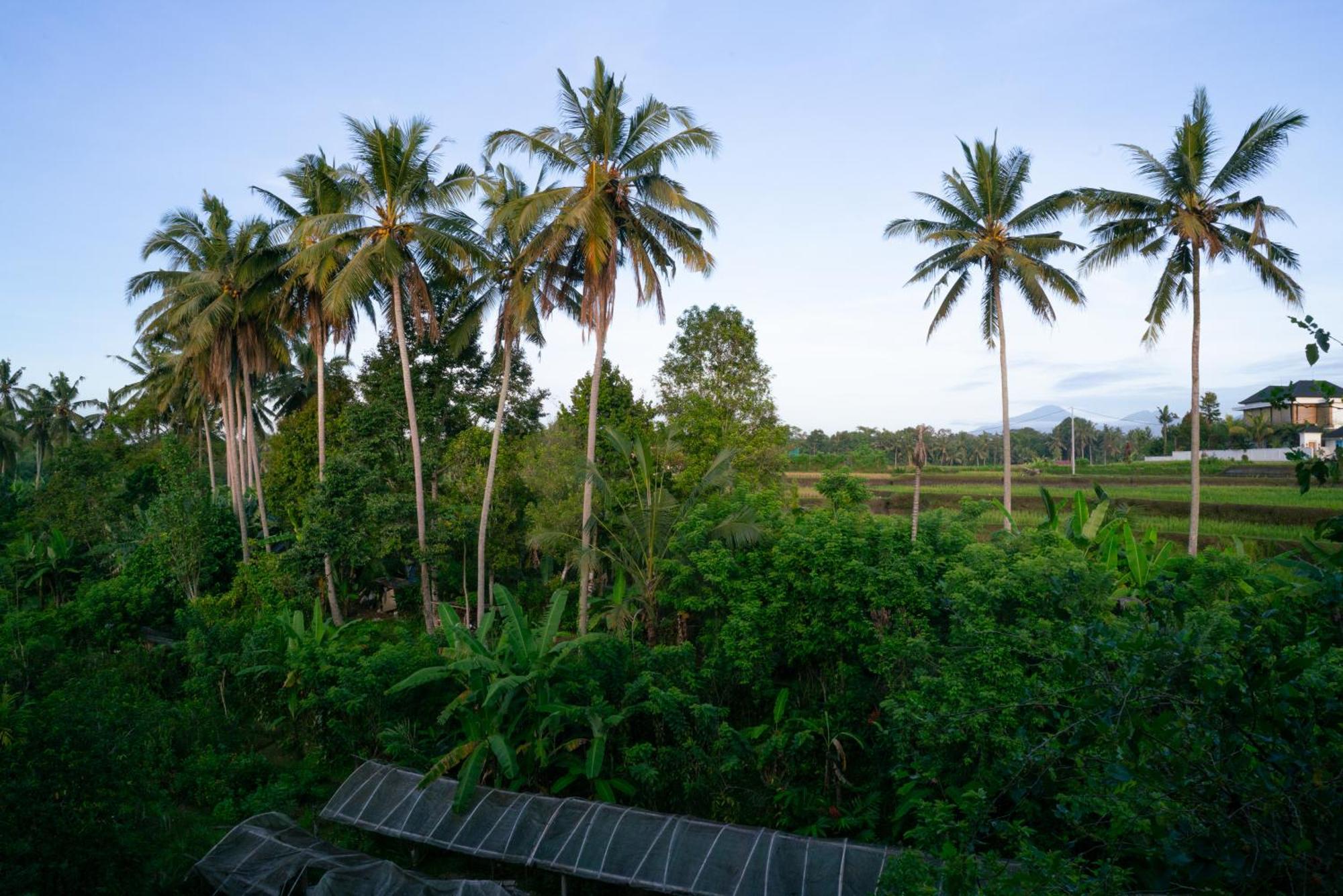 Karang Lila Bhuana Ubud Exterior photo